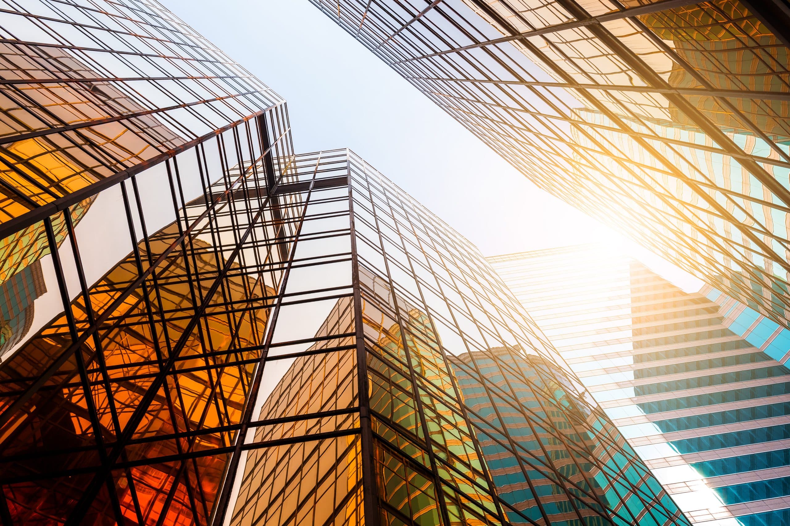 agencia de marketing B2B en Chile — consultora Loup