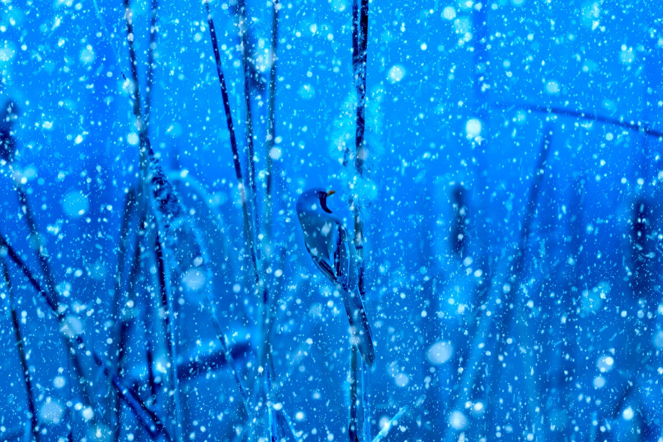 posicionamiento SEO y SEM Chile B2B 2026