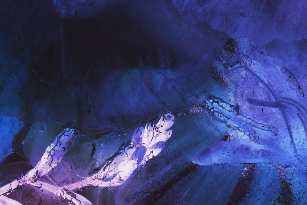 publicidad digital empresas B2B Chile 2026