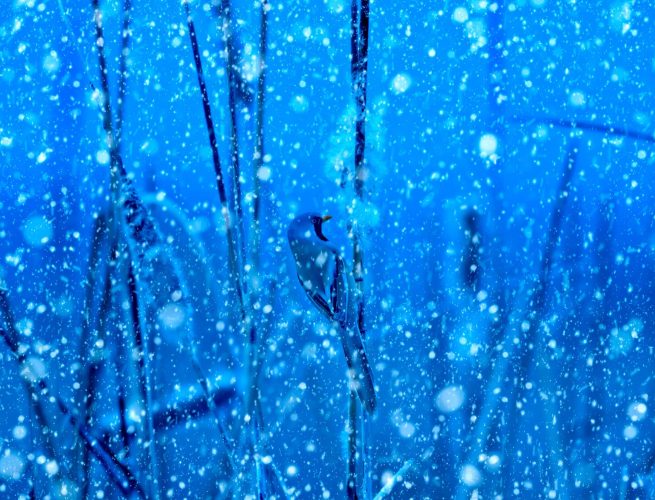 posicionamiento SEO y SEM Chile B2B 2026