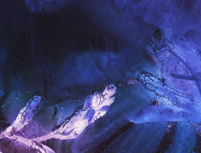 publicidad digital empresas B2B Chile 2026